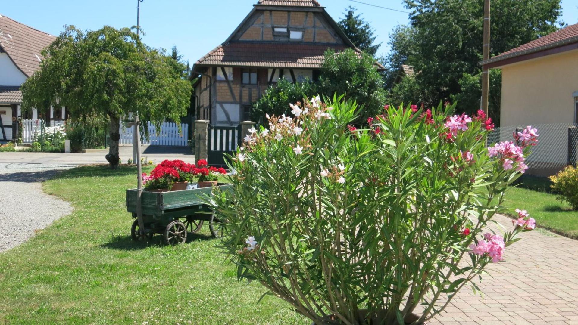 Gite Les Herissons Guevenatten Exterior photo